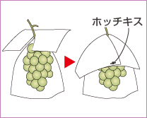 ぶどう の 袋 かけ の 時期